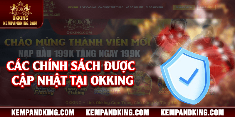 chinh sach cap nhat tai okking Các chính sách được cập nhật tại OKKING